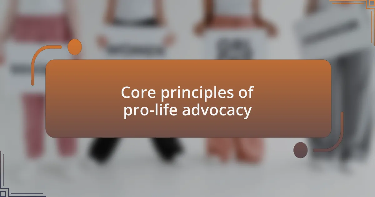 Core principles of pro-life advocacy