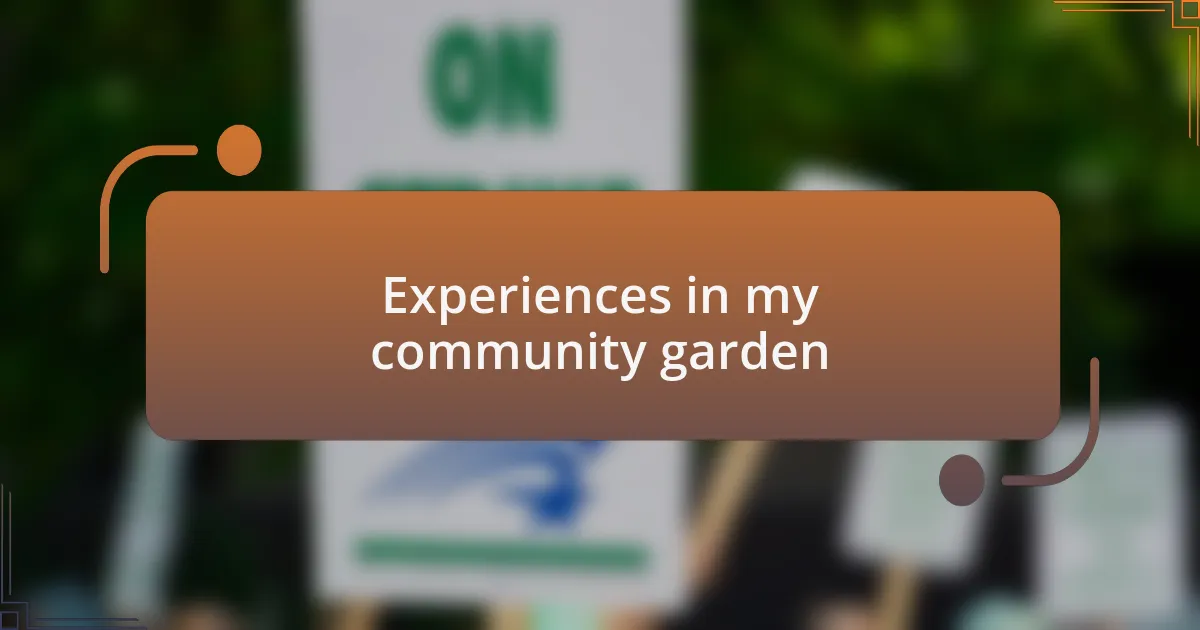 Experiences in my community garden