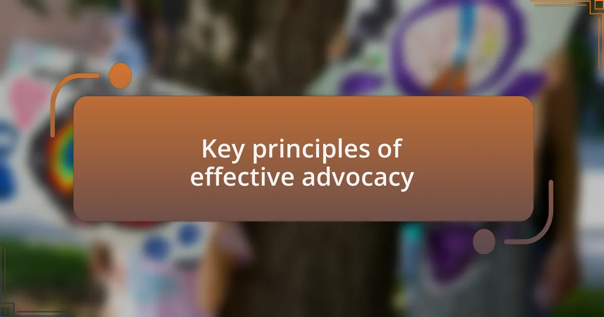 Key principles of effective advocacy