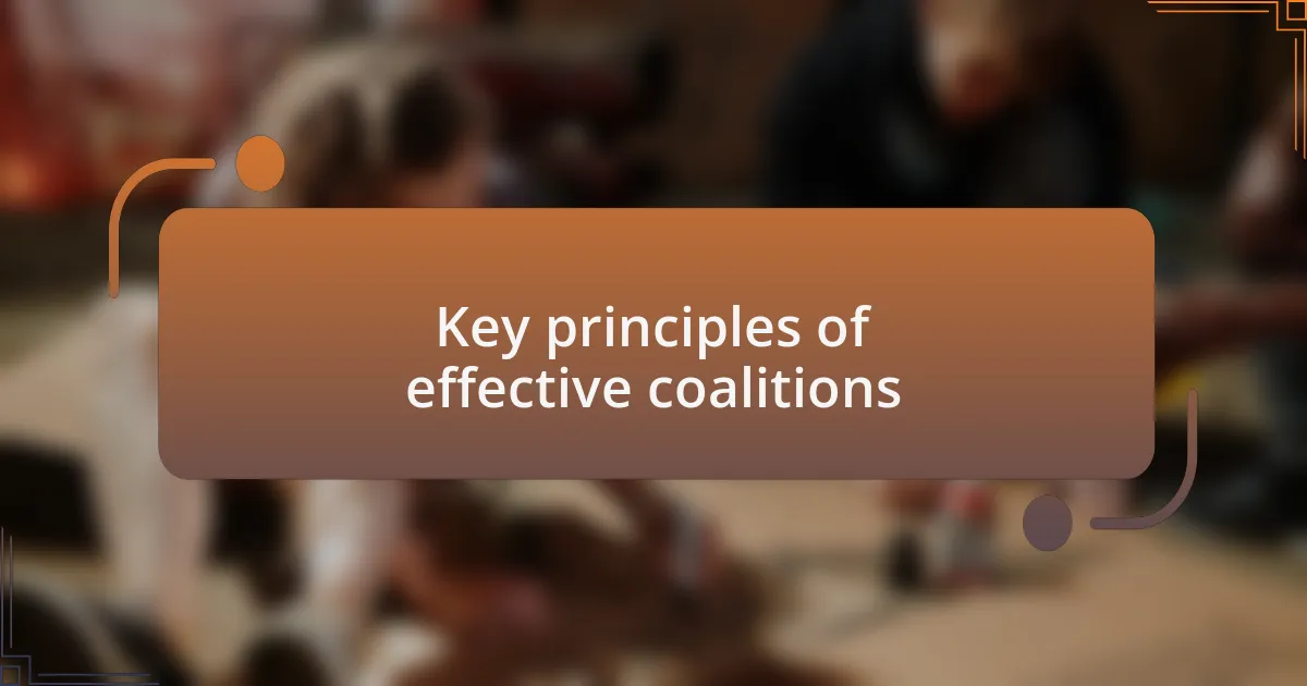 Key principles of effective coalitions