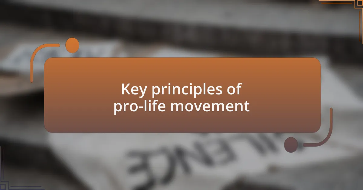 Key principles of pro-life movement