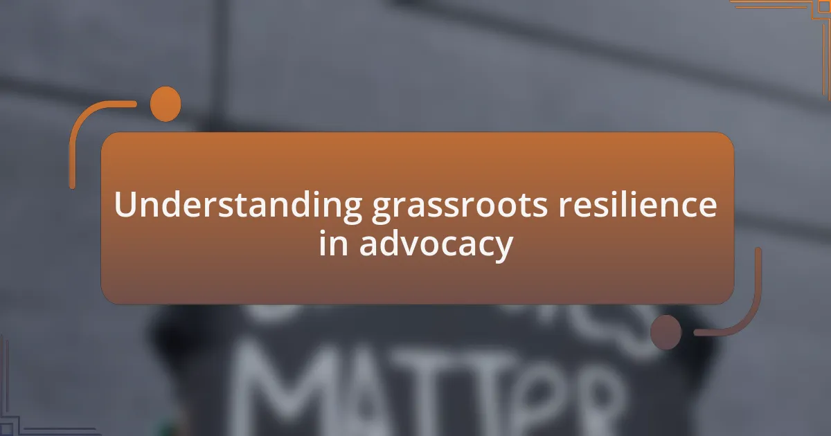 Understanding grassroots resilience in advocacy